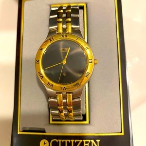 Citizen mens watch